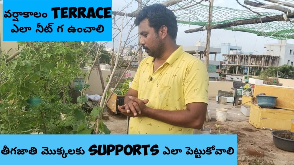 teegajaati mokkalaku support ela evvali, terrace tadi lekundaa ela unchukovaali teegajaati mokkalaku support ela evvali, terrace tadi lekundaa ela unchukovaali