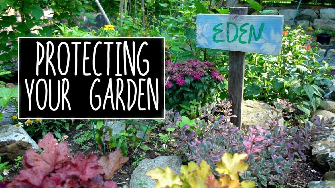 Protect Your Garden From Animals On a Budget #diy #gardeningtips #budget #garden