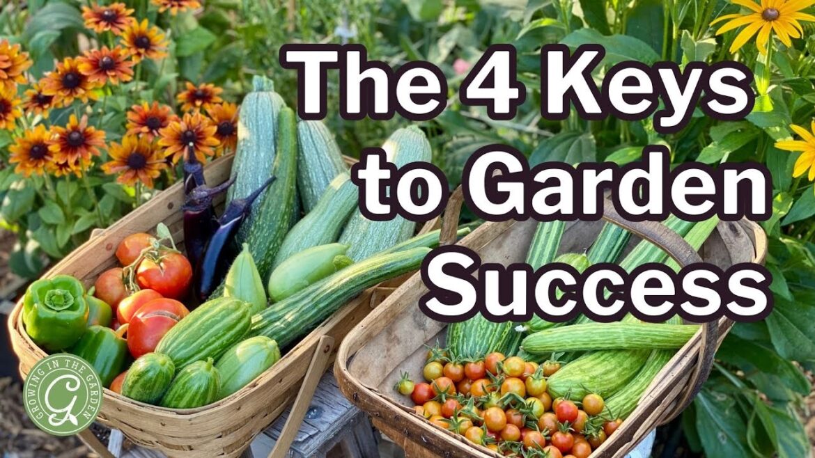 Focus on These Fundamentals To Be a Successful Gardener in Any Climate