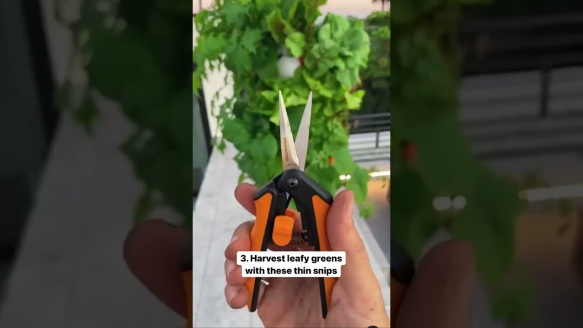 Tips for Using Gardening Tools