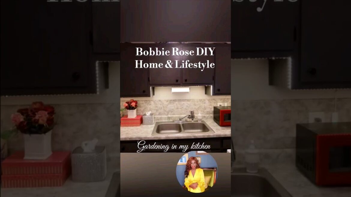 WHAT AM I DOING WRONG? #lettuce #containergardening