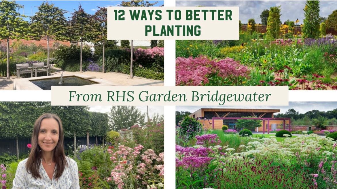 How to Ensure Better Planting in your Borders