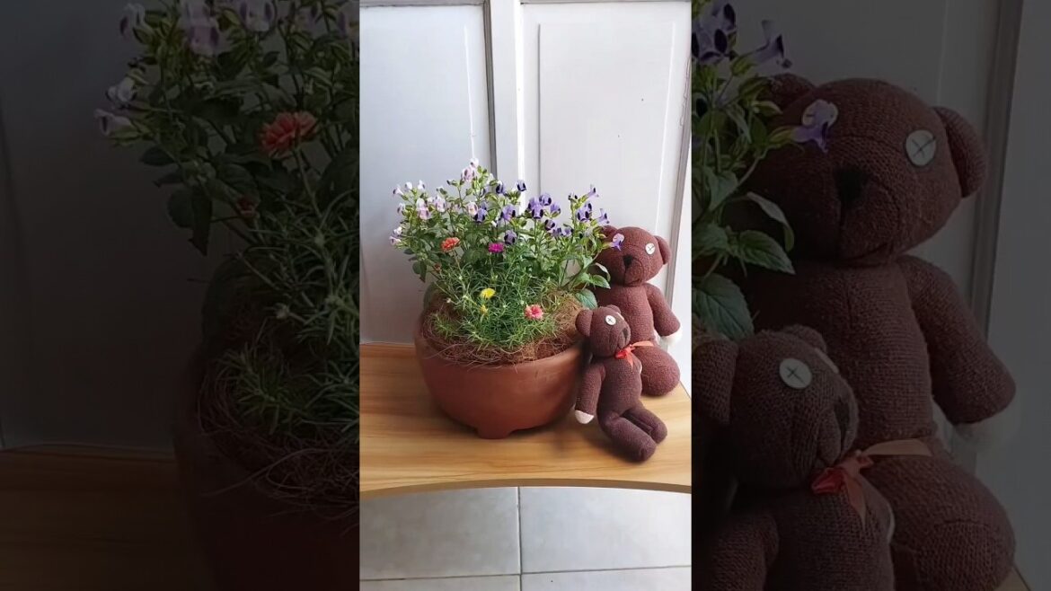 Container Garden #short #shorts #shortvideo