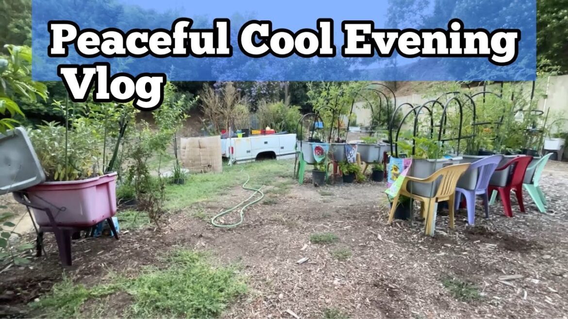 Productive Tomato & Zucchini Patch~ Enjoying a Cool Quiet Evening in the Chair Vegetable Garden Vlog