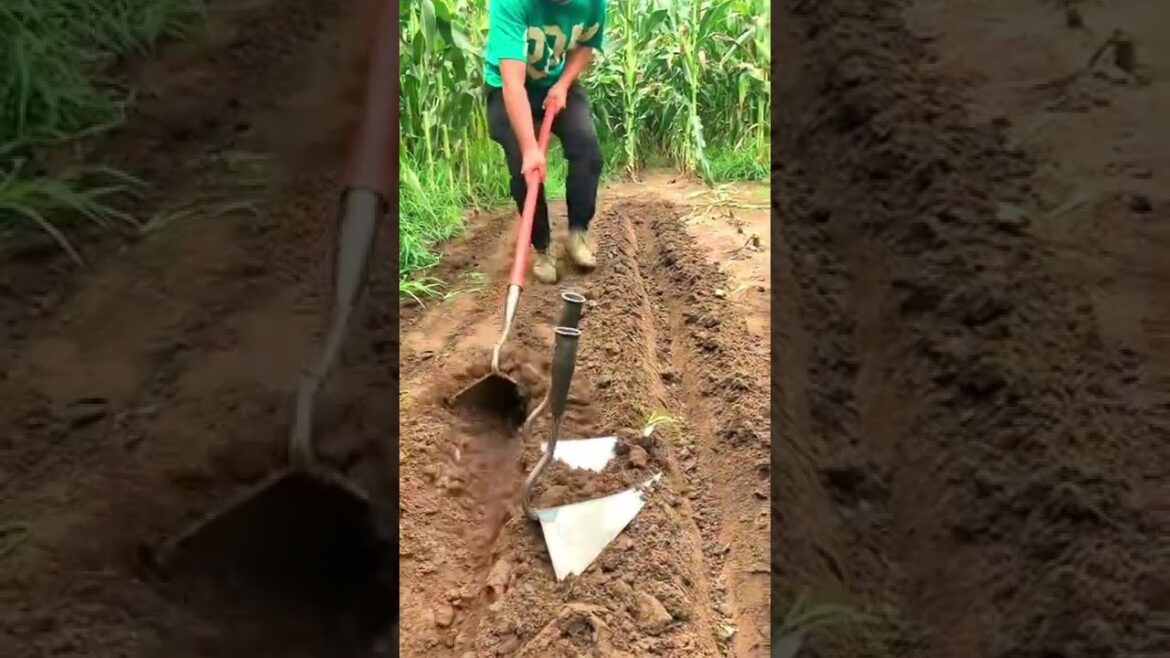 New handmade tool and machine for farmers #shorts #agriculture #gardener