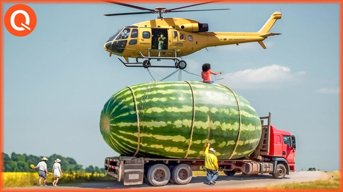 55 Most Satisfying Agriculture Machines and Ingenious Tools| Agriculture Technology 55 Most Satisfying Agriculture Machines and Ingenious Tools| Agriculture Technology