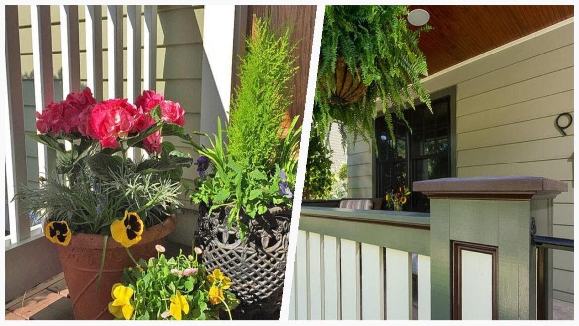 75 Affordable Porch Container Garden Design Ideas You'll Love 😊