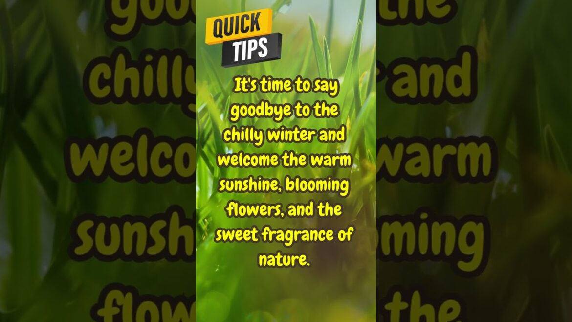 ๐ฑ ๐ Organic Gardening Hacks and QUICK TIPS # 47๐ฑ ๐ฑ ๐ Organic Gardening Hacks and QUICK TIPS # 47๐ฑ