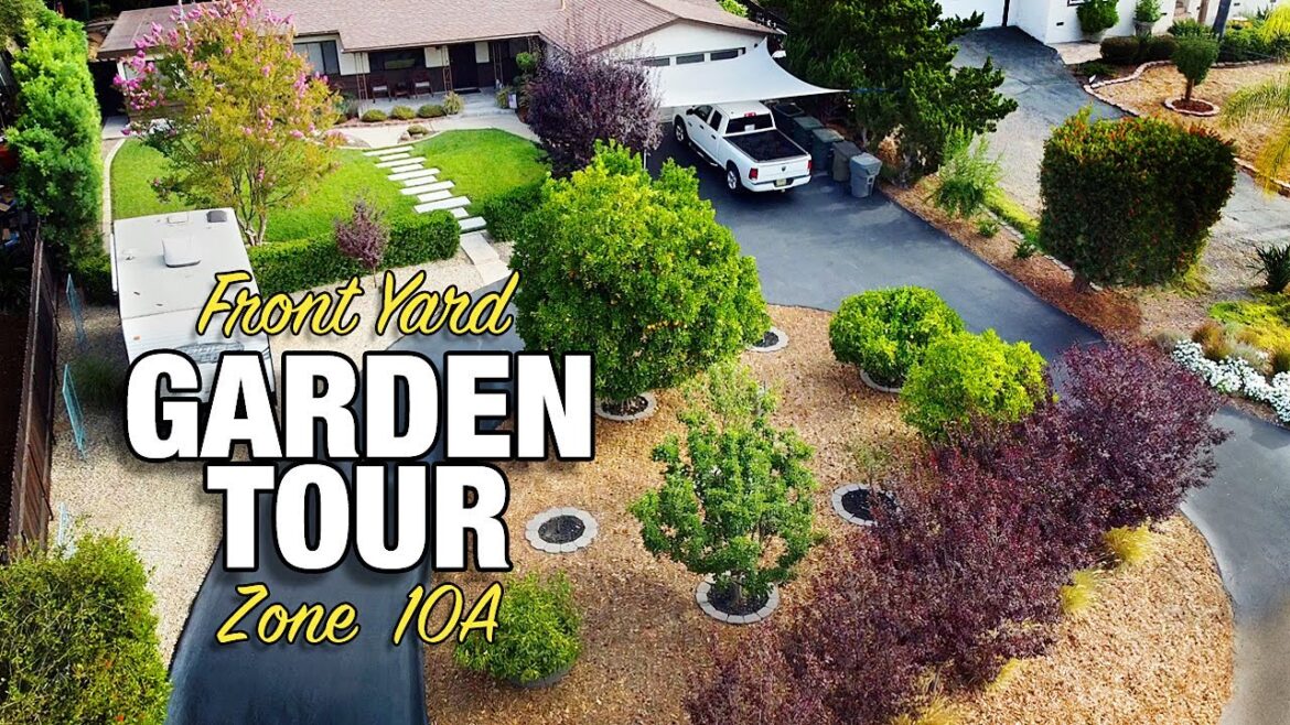 Front Yard Garden & Landscape Tour Zone 10A Front Yard Garden & Landscape Tour Zone 10A