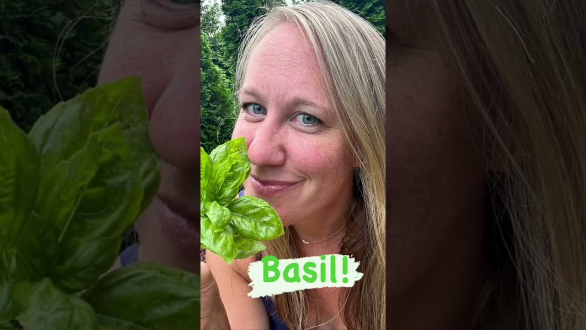 Home Gardening Plan - 5 Things You Should Never Have To Buy At the Grocery Store Again If You Garden