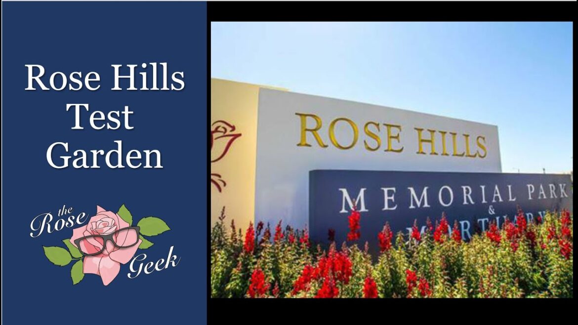 🌹 Rose Hills Memorial Park Garden Tour | Rose Test Garden near Los Angeles, CA 🌹 Rose Hills Memorial Park Garden Tour | Rose Test Garden near Los Angeles, CA