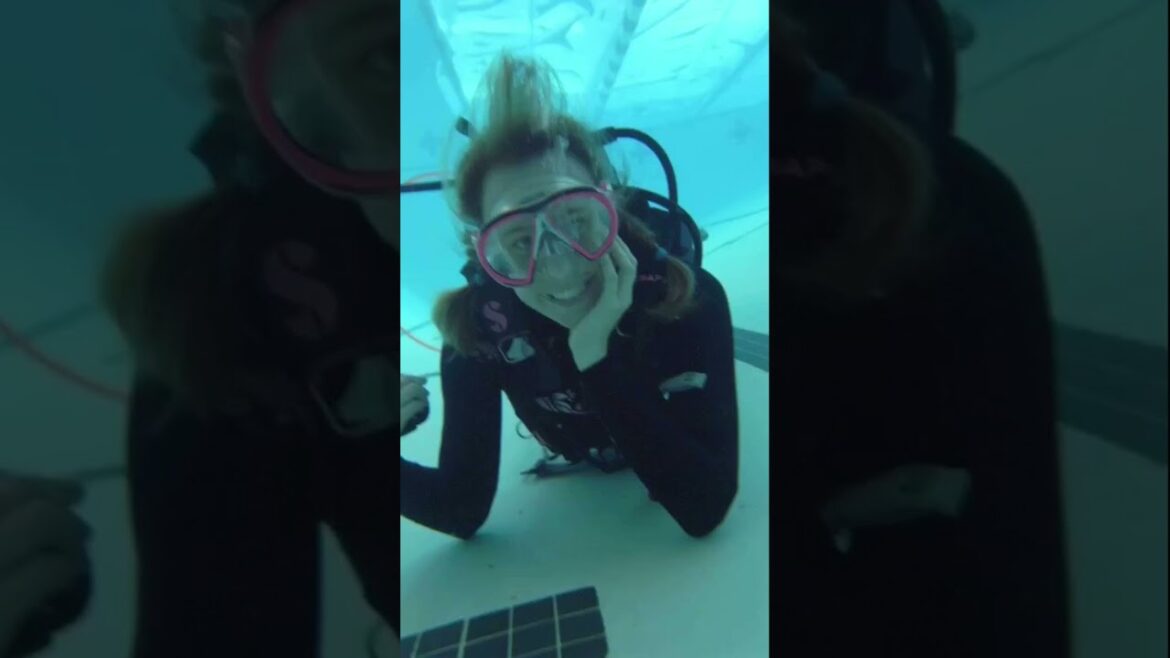 Home Gardening Confessions – One Minute You’re Young And Care Free… The Next… Home Gardening Confessions - One Minute You're Young And Care Free... The Next...