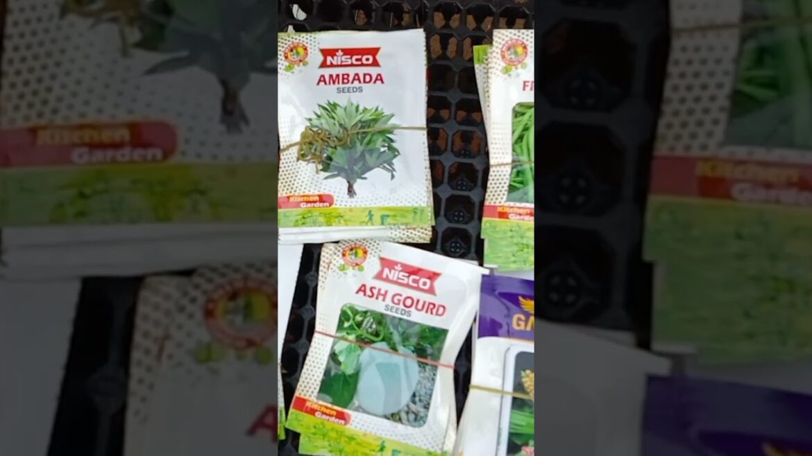 Gardening Ideas for Home | A to Z  Home Delivery Services | #Shorts