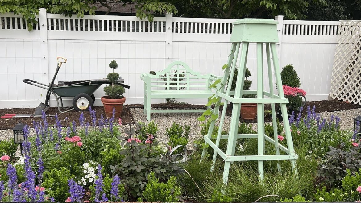 Garden Updates, New Layout, I’m so HAPPY! Garden Updates, New Layout, I'm so HAPPY!