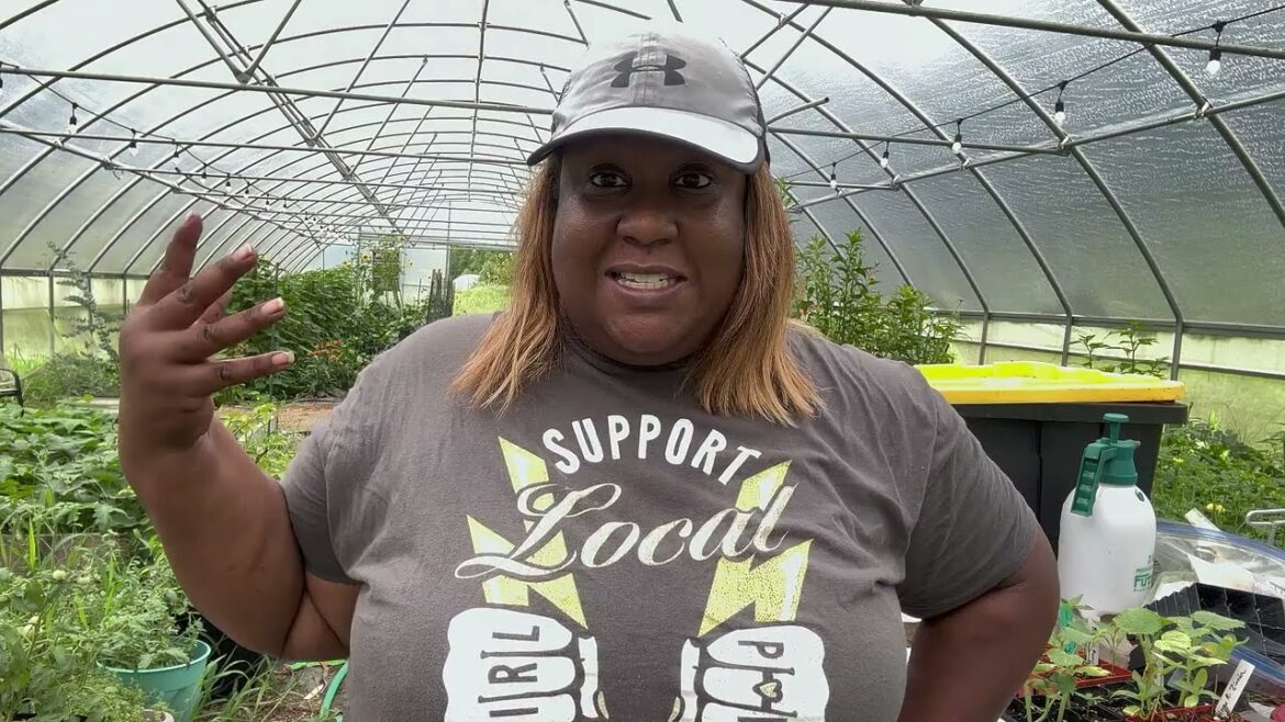 JULY GARDEN TOUR-HIGH TUNNEL + IN GROUND GARDEN