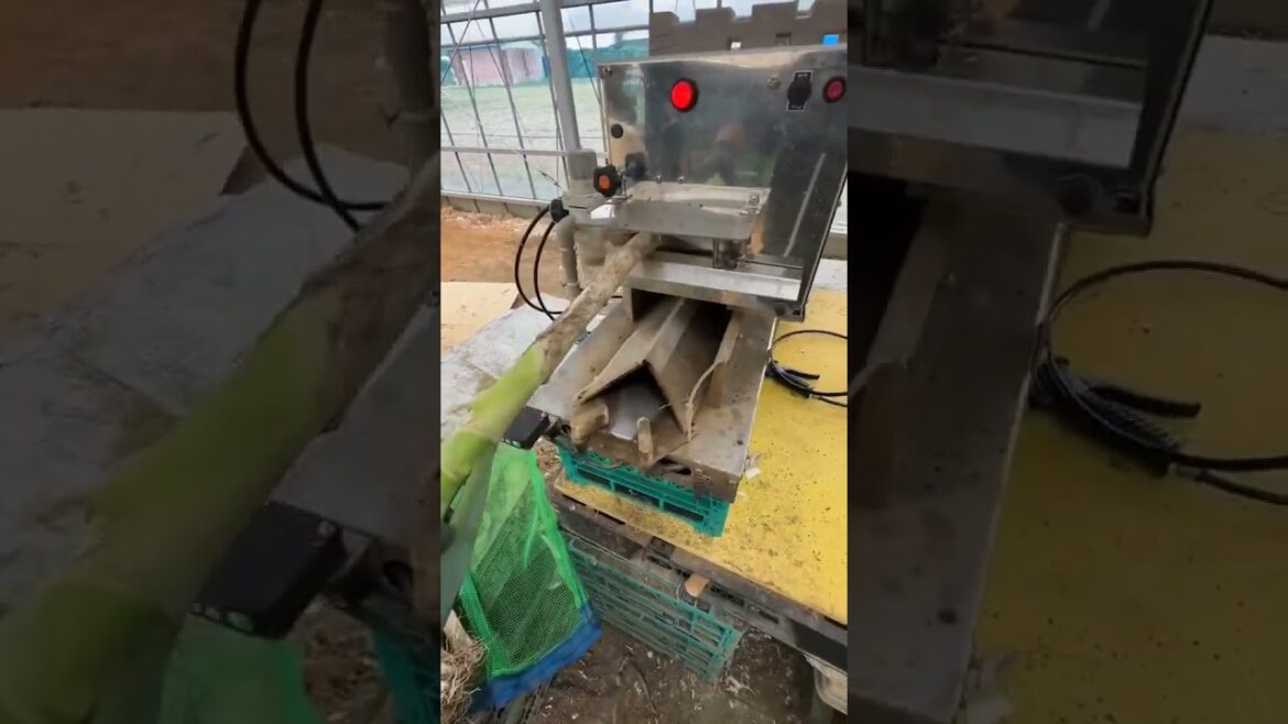 Machine.#smartgadgets #trending #Adeebreactions #viral #farming #green #garden #gardening #shorts