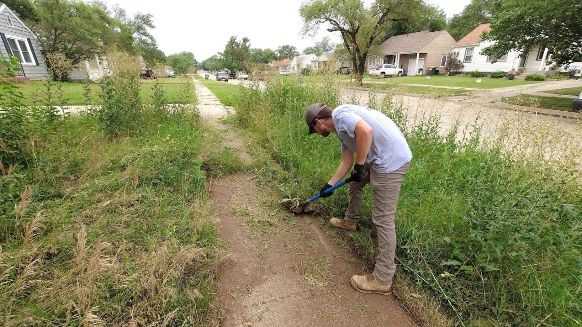 Home is HAZARDOUS for the neighbors and getting OUT OF CONTROL Home is HAZARDOUS for the neighbors and getting OUT OF CONTROL