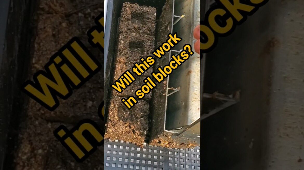 A Sustainable Soil Block Recipe? (Peat-Free) #gardening #startingseeds A Sustainable Soil Block Recipe? (Peat-Free) #gardening #startingseeds