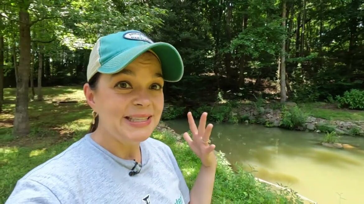 Construction Begins on Proven Winners Signature Garden | Gardening with Creekside