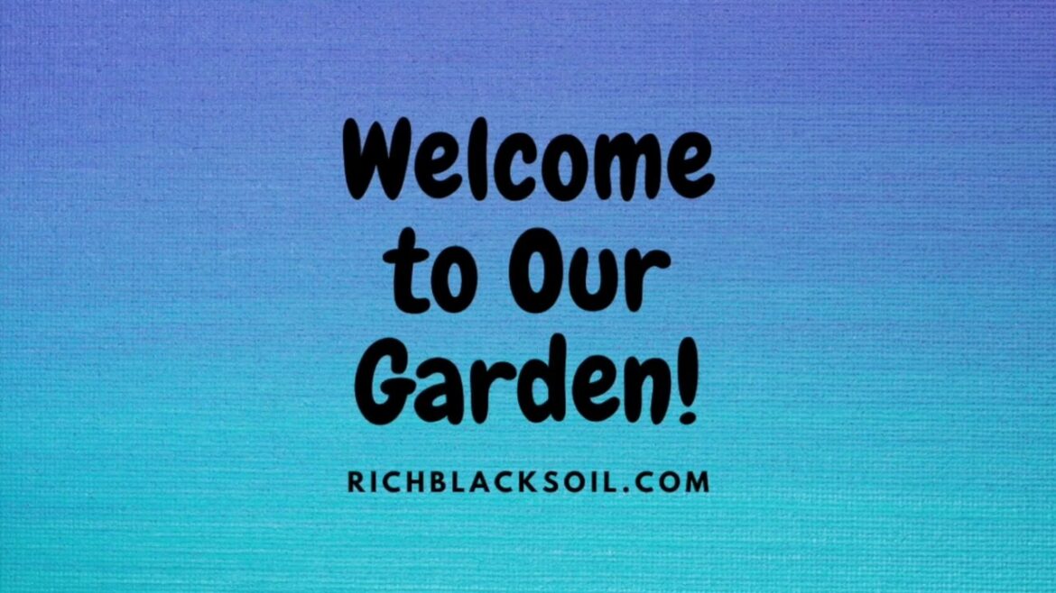 Our Apartment Container Garden