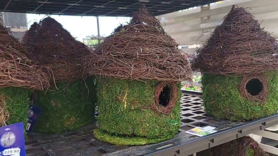 A TRIP TO HOME DEPOT AND THE DOLLAR TREE FOR CONTAINER GARDENING SUPPLIES A TRIP TO HOME DEPOT AND THE DOLLAR TREE FOR CONTAINER GARDENING SUPPLIES