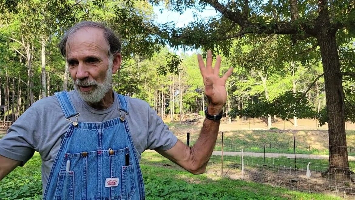 Where are the White Sweet Potatoes?