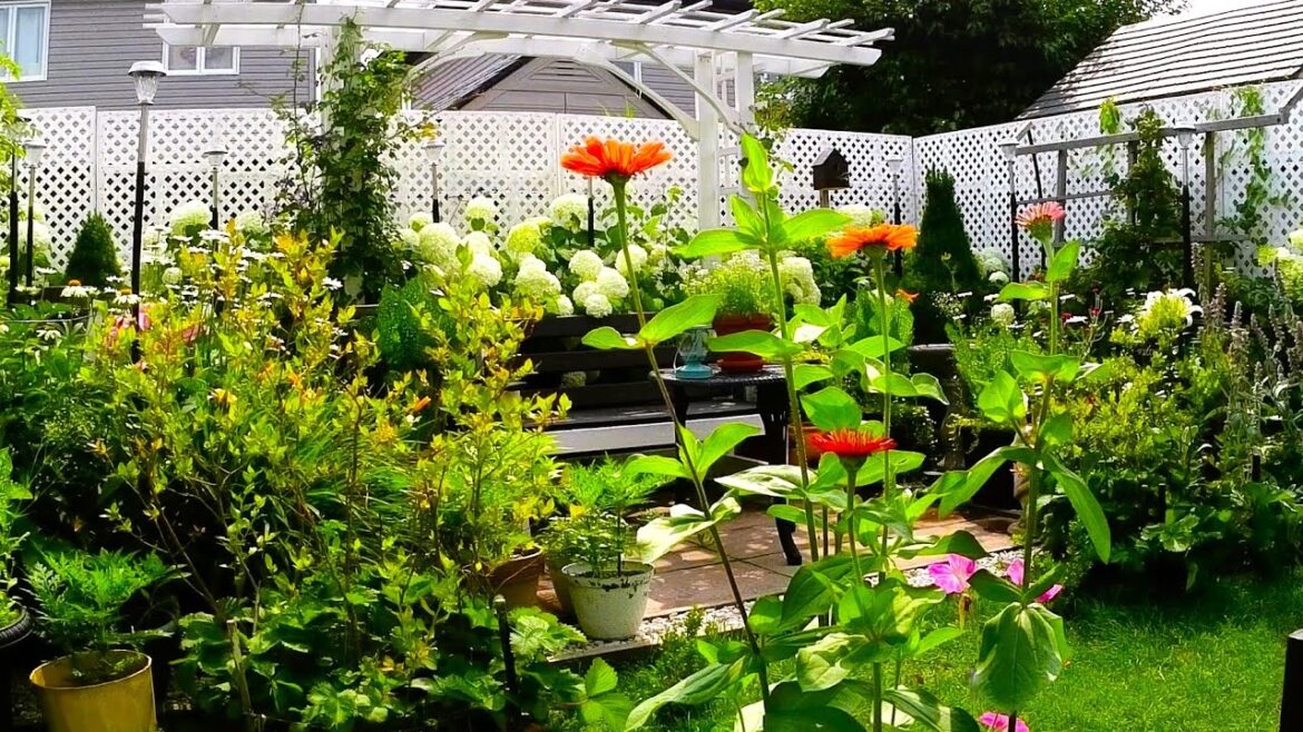 New Summer Blooms In My small Backyard Garden | Full Garden Tour #garden #gardentour #gardening #new New Summer Blooms In My small Backyard Garden | Full Garden Tour #garden #gardentour #gardening #new