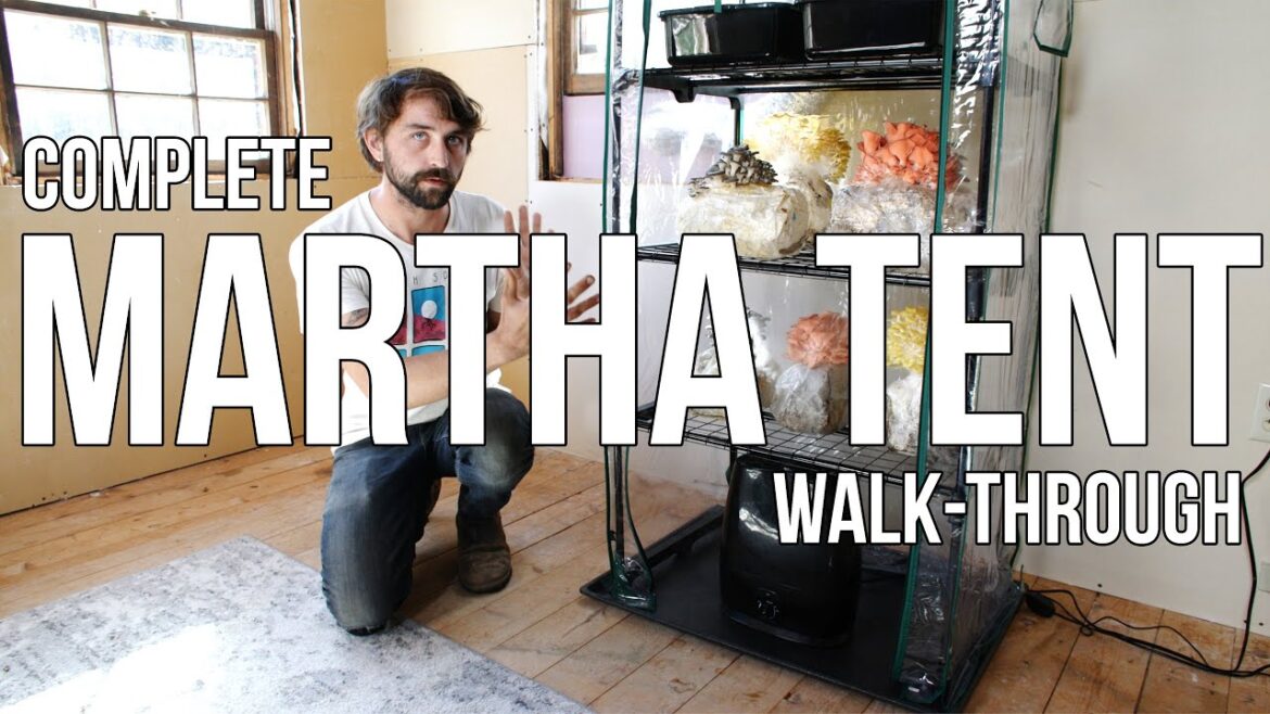 Complete Martha Grow Tent Setup & Maintenance Walk-Through | Build a DIY Mushroom Fruiting Chamber Complete Martha Grow Tent Setup & Maintenance Walk-Through | Build a DIY Mushroom Fruiting Chamber
