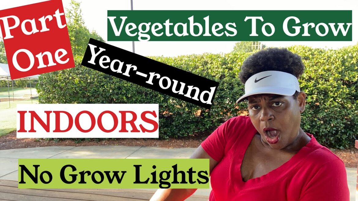 PART 1 | 10 Vegetables to GROW INDOORS YEAR ROUND | NO Grow Lights | Container Gardening PART 1 | 10 Vegetables to GROW INDOORS YEAR ROUND | NO Grow Lights | Container Gardening
