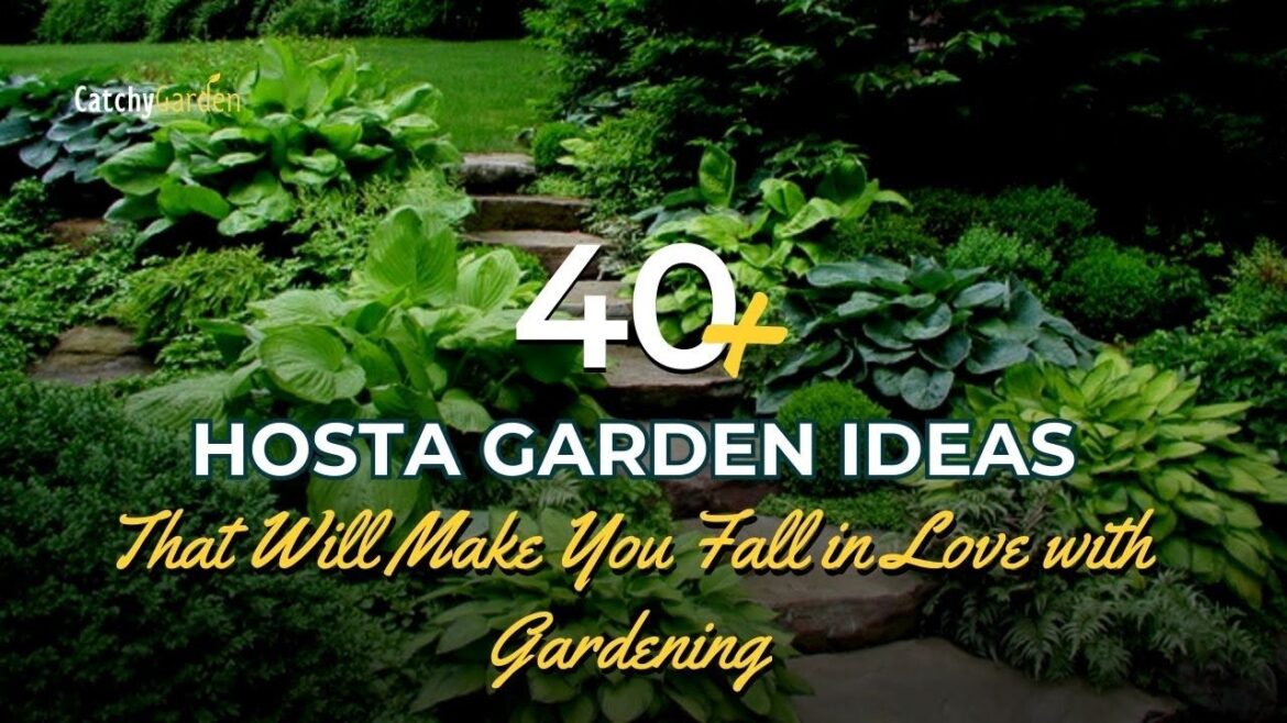 40+ Hosta Garden Ideas That Will Make You Fall in Love with Gardening 🍃🌿 // Gardening Ideas 40+ Hosta Garden Ideas That Will Make You Fall in Love with Gardening 🍃🌿 // Gardening Ideas