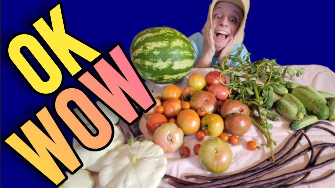 EPIC harvest from our front yard garden!!! Upstate SC 7B 8A The Reselling Homestead EPIC harvest from our front yard garden!!! Upstate SC 7B 8A The Reselling Homestead