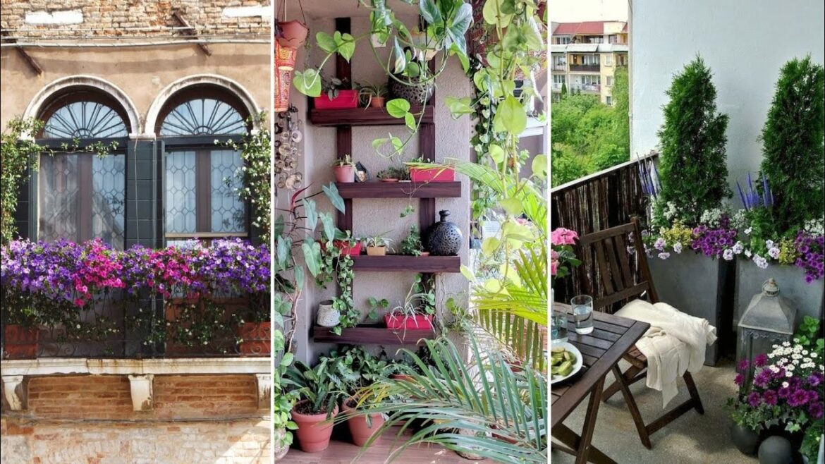 Beautiful ideas for a balcony garden  🍀 70 photos of landscape design on the balcony of your home