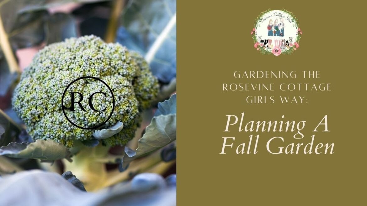 Get Your Fall Garden Ready - Tips For Planting A Fall Vegetable Garden