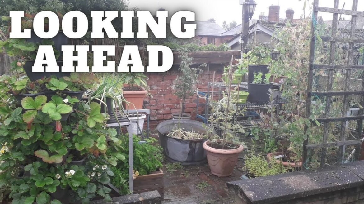 Getting Ready [Gardening Allotment UK] [Grow Vegetables At Home ]