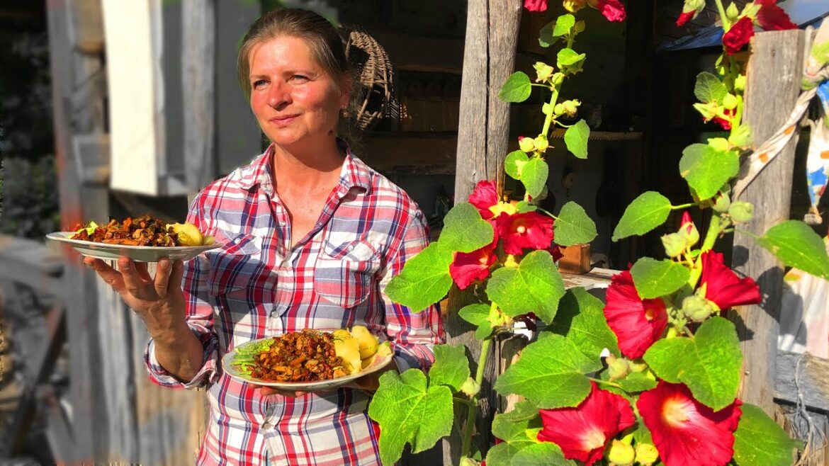 Wild Chanterelle Mushroom Hunting. Special chanterelle dish