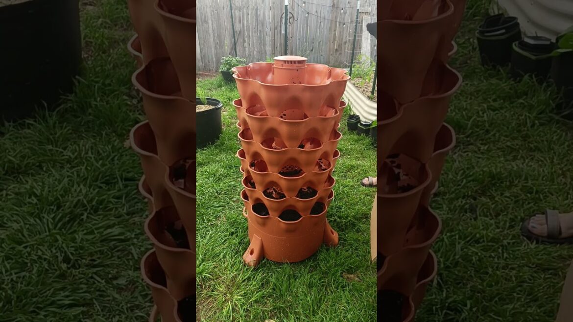 Growing 50 plants in 4 sq feet with the Garden Tower 2! #containergardening #towergarden