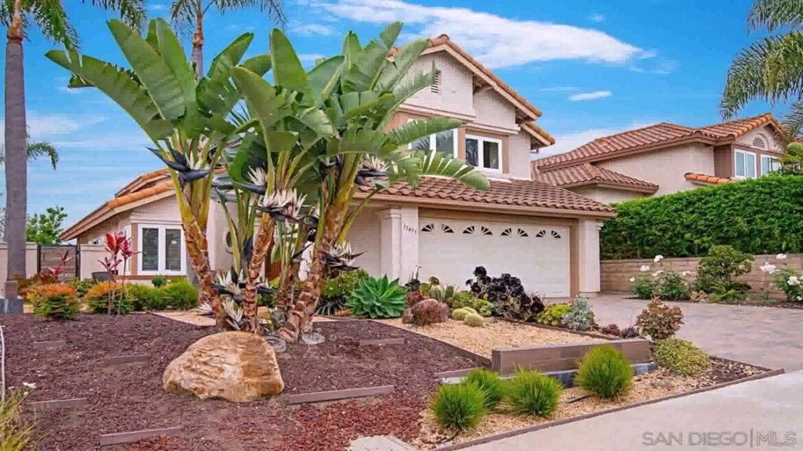 Backyard Landscaping Ideas In The Desert