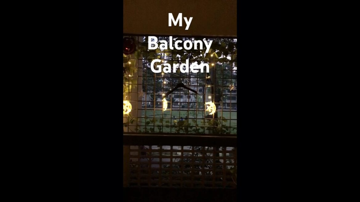 My balcony garden #youtubeshorts #minivlog #viralshort #garden @NurunNaharLilian
