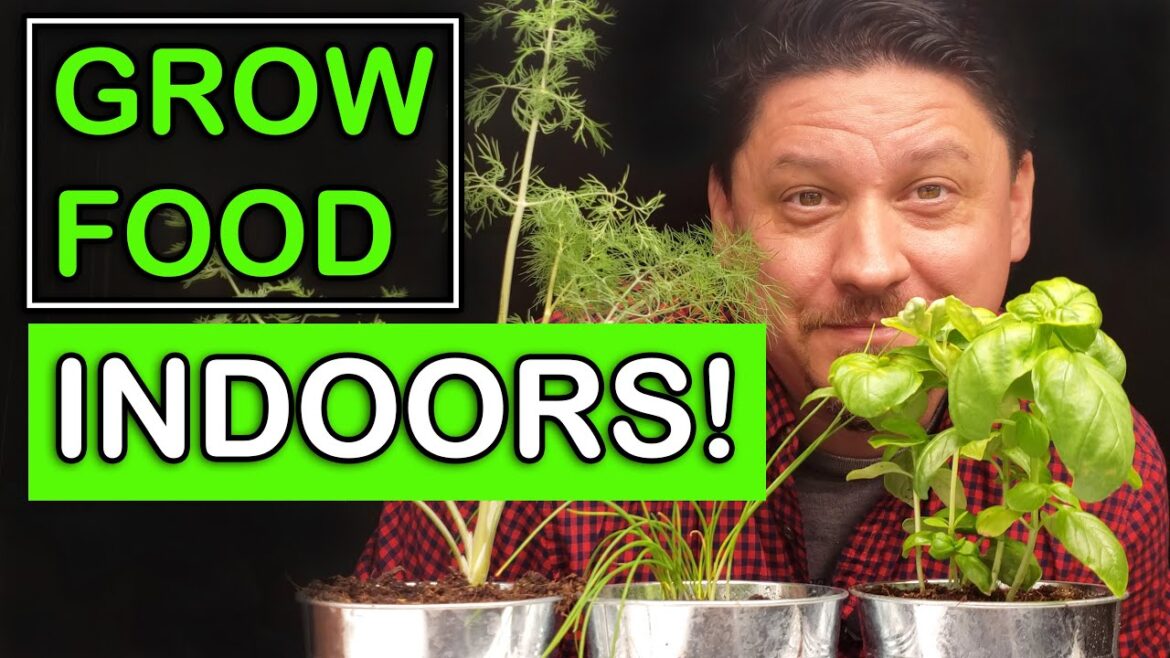 Growing Food Indoors – The Ultimate Guide Growing Food Indoors - The Ultimate Guide
