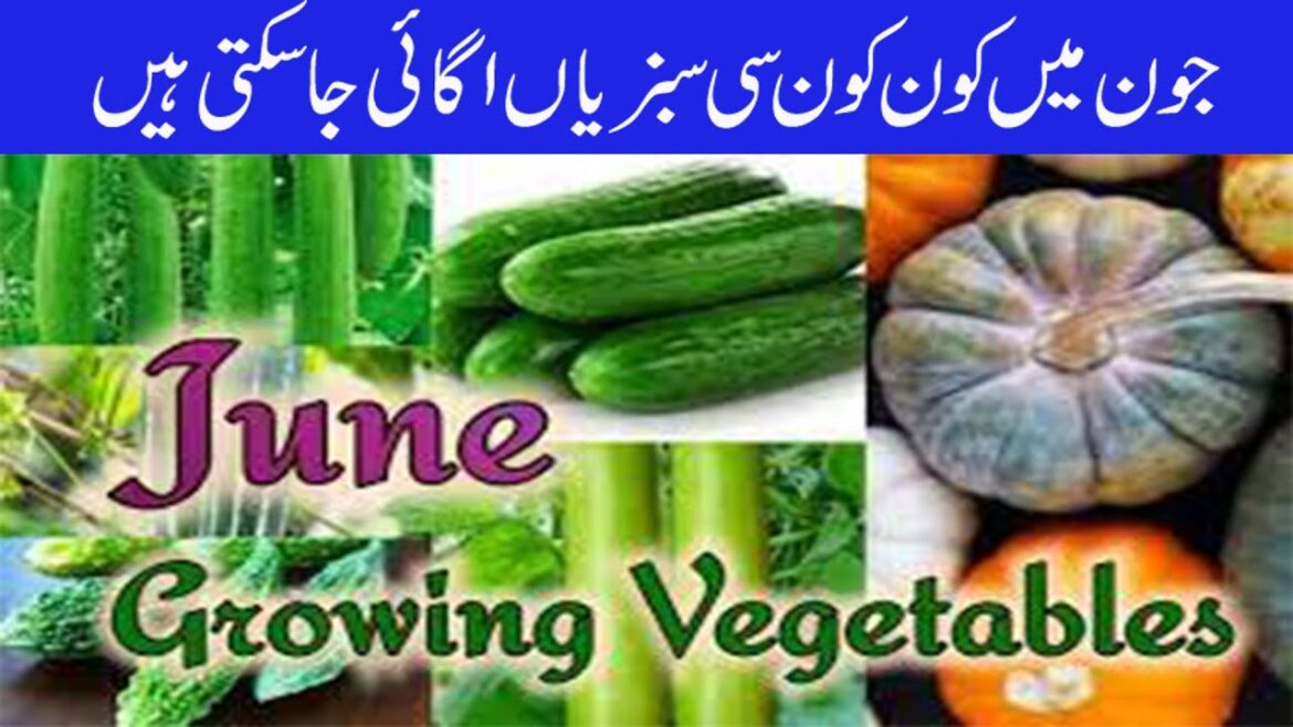 Growing Vegetables In June Month | june Mei Kon C Vegetable ko Grow Kar Skte Hai