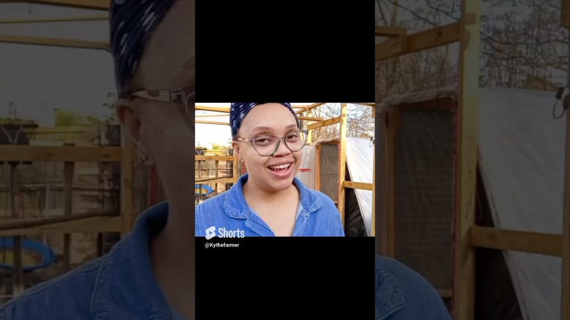 Miss Georgia said I better let y'all know about these amazing boots from @bruntworkwear   #workboots