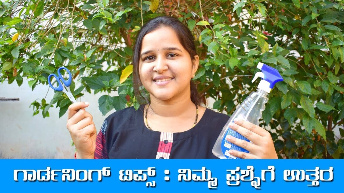 ನಿಮ್ಮ ಗಾರ್ಡನಿಂಗ್ ಪ್ರಶ್ನೆಗೆ ಉತ್ತರ  Gardening Tips [Kannada Vlogs] - Mr and Mrs Kamath
