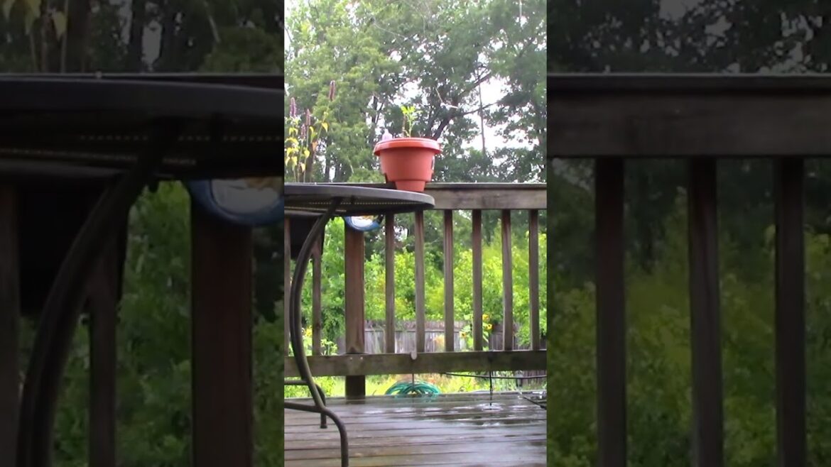 Rainy Day equals Lazy Day Rainy Day equals Lazy Day