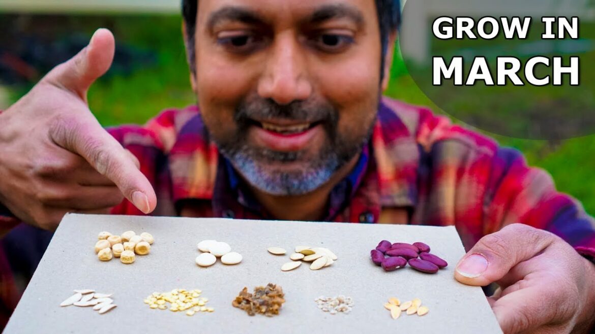 20 Seeds and Plants You Must Grow in March
