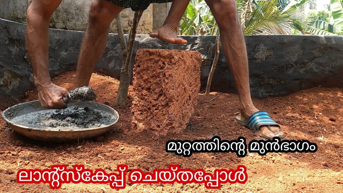 ആർക്കും ഈസിയായി ലാന്റ്സ്കേപ്പ് ചെയ്യാം,, Landscape design idea, Garden design for small garden,