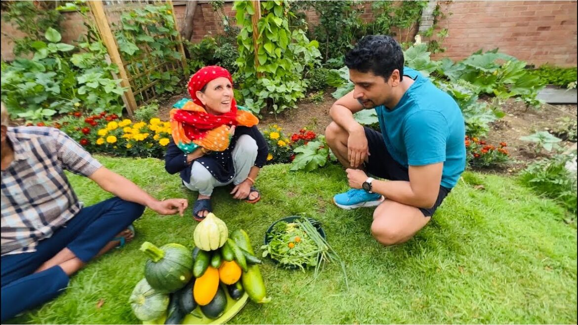 Organic Vegetables Harvesting Day 2023| Kitchen Garden in England| Vegetable garden 🪴
