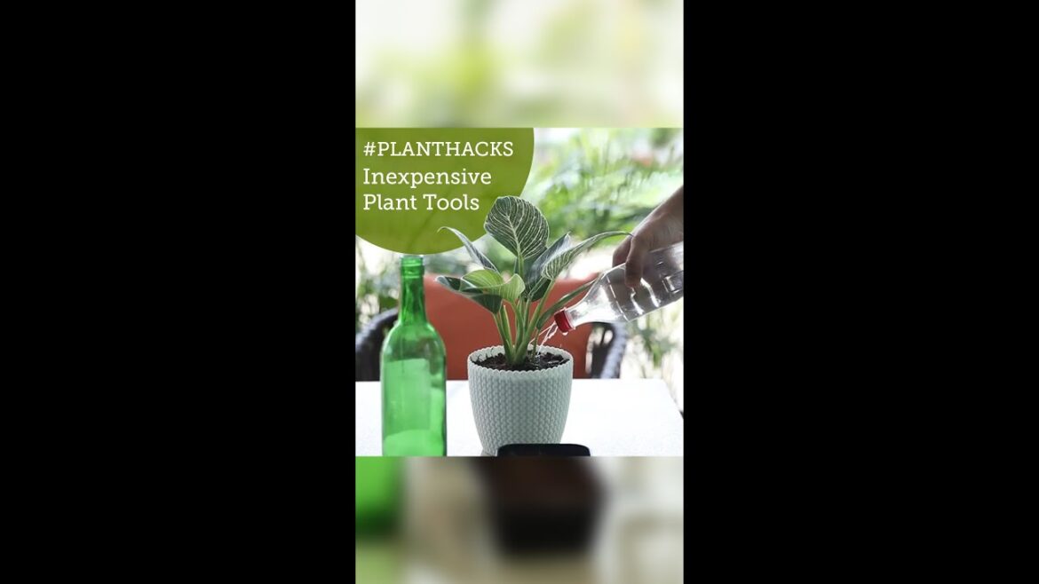 Inexpensive gardening tools you can use