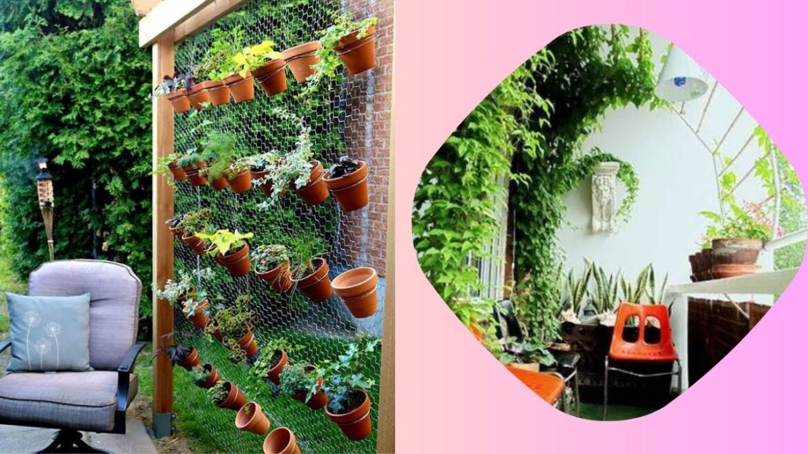 Vertical Gardening On a Budget | Create Vertical Garden in Low Cost Vertical Gardening On a Budget | Create Vertical Garden in Low Cost