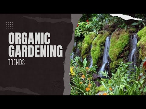 Secret of Successful Organic Gardening trends |#homedesigner Secret of Successful Organic Gardening trends |#homedesigner