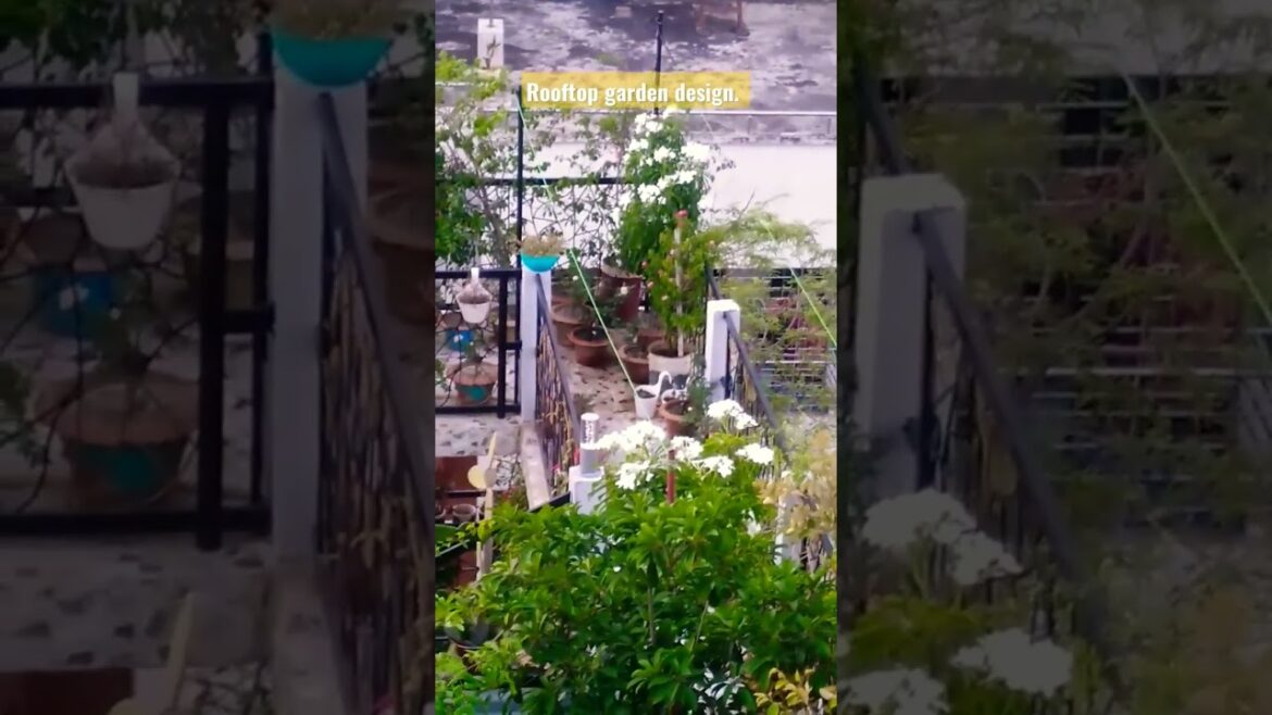 Rooftop garden design. Designers idea. Garden planning. #video #viral #shorts #short #rooftop Rooftop garden design. Designers idea. Garden planning. #video #viral #shorts #short #rooftop